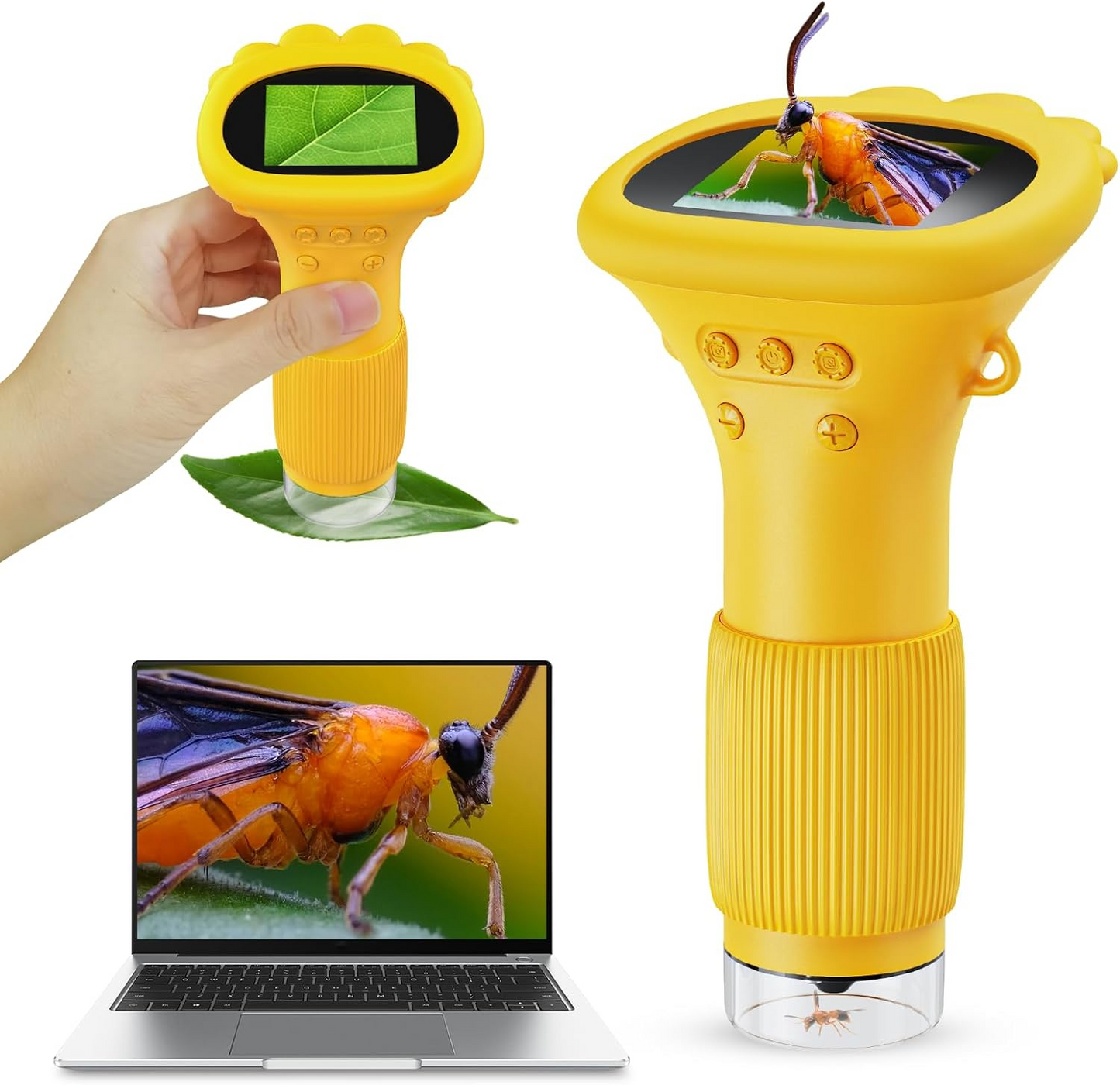 Microscope portable pour enfants.