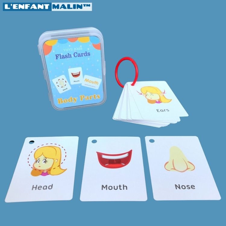jeu éducatifs anglais pour enfants flashcards anglais pour débutant facile pour les enfants jeu intéractif jeu éducatifs avec carte illustré facile pour les enfants pour initiation à l anglais boutique jeu éducatifs l'enfant malin collection anglais pour enfants les parties du corps apprentissage facile