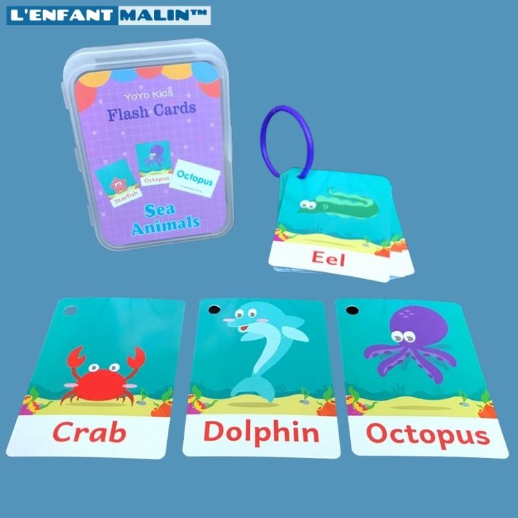 jeu éducatifs anglais pour enfants flashcards anglais pour débutant facile pour les enfants jeu intéractif jeu éducatifs avec carte illustrer facile pour les enfants pour initiation à l anglais boutique jeu éducatifs l'enfant malin collection anglais pour enfants les animaux de la mer