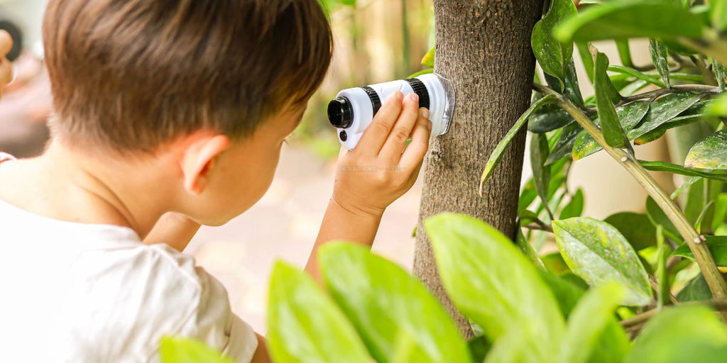 Microscope de poche pour enfant : Stimulez l'éveil de votre enfant !