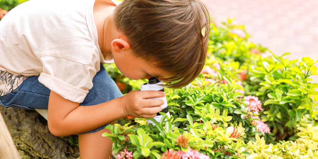 Le Microscope Junior : Un outil essentiel pour l’éveil scientifique des enfants