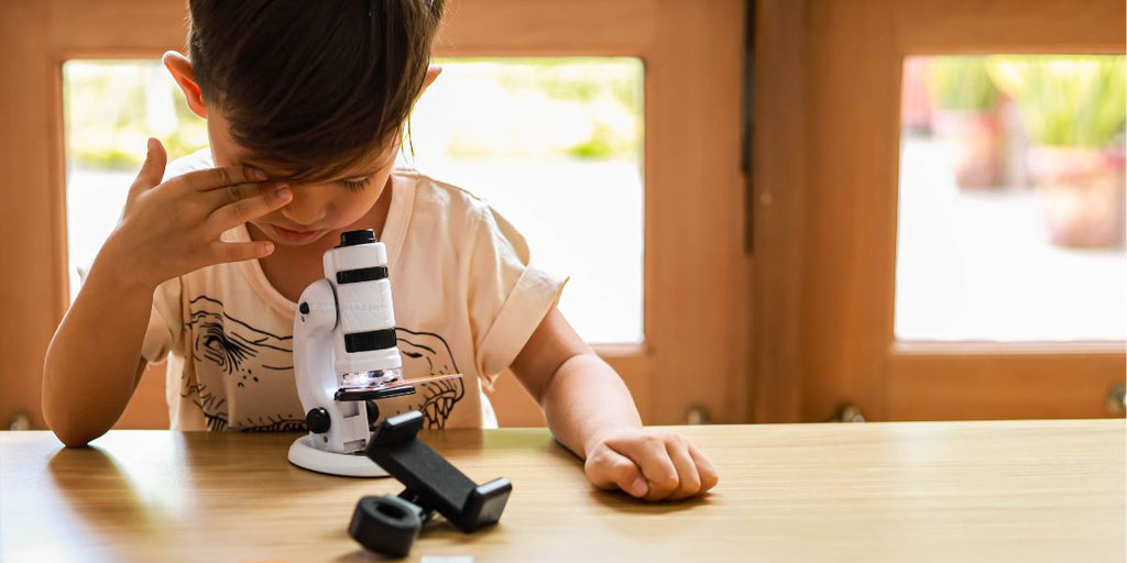 Quel microscope choisir pour un enfant ?