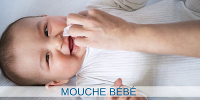 mouche bebe mouche bébé  seringue mouche bebe seringue mouche bébé  mouche bébé électrique mouche bebe electrique mouche bébé électrique mouche bebe electrique 