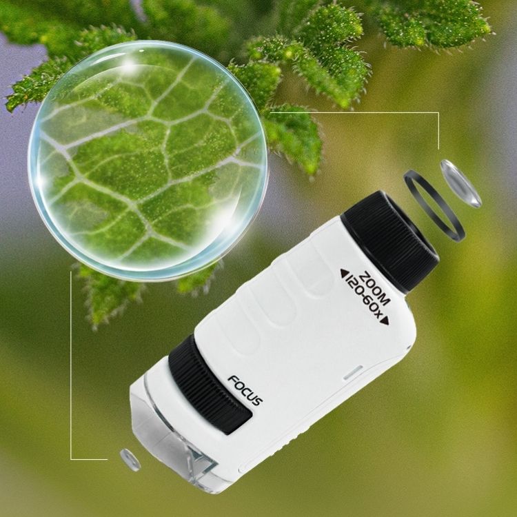 microscope enfant microscope enfants microscope pour enfant microscope junior