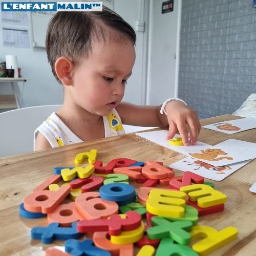 Jeu éducatifs enfants pour apprendre l anglais facilement l anglais pour tous avec des lettres alphabet en bois colorés et des cartes avec des illustrations pour chaque mot enfant peux jouer en toute autonomie et apprendre facilement l anglais l'enfant malin collection anglais pour enfants