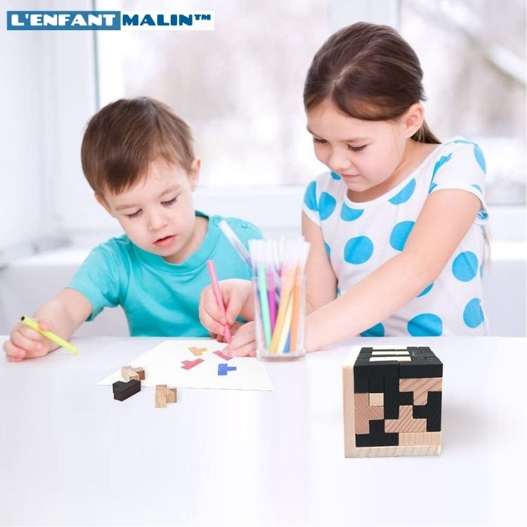 casse tete adulte casse-tête enfant casse tete cube magnetique casse tete chinois puzzle adulte bois casse-tete en bois anti stress casse-tête idée cadeau rubik cube puzzle 3D puzzle tangram montessori casse tete cube puzzle cube jeux éducatifs